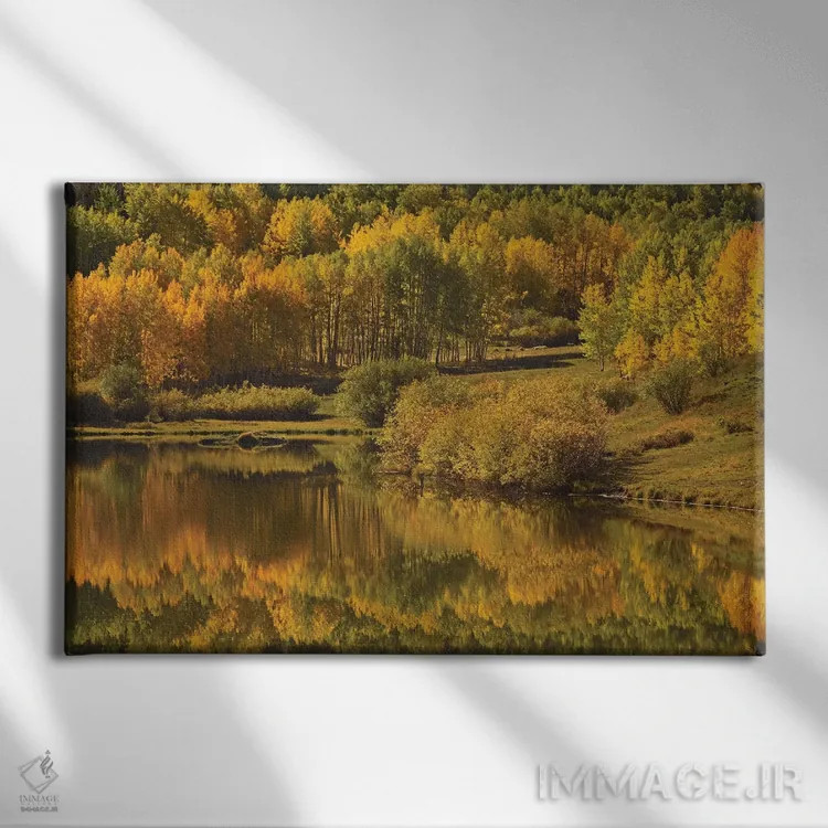 تابلو انعکاس صنوبر لرزان (آسپن) اثر برایان ولف - نمای روبهرو روی دیوار