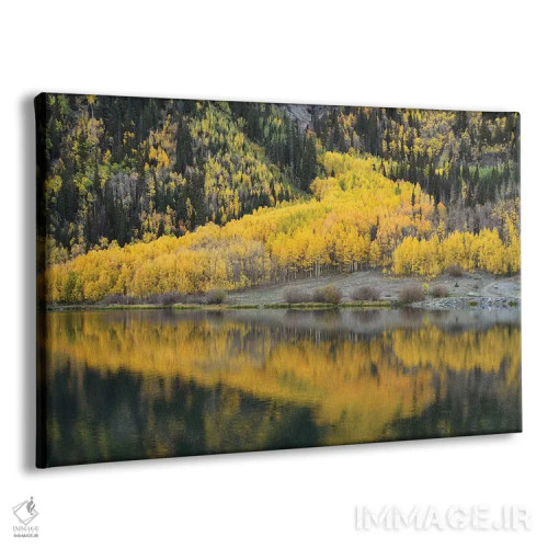تابلو انعکاس صنوبر در دریاچه کریستال اثر برایان ولف - نمای پرسپکتیو محصول