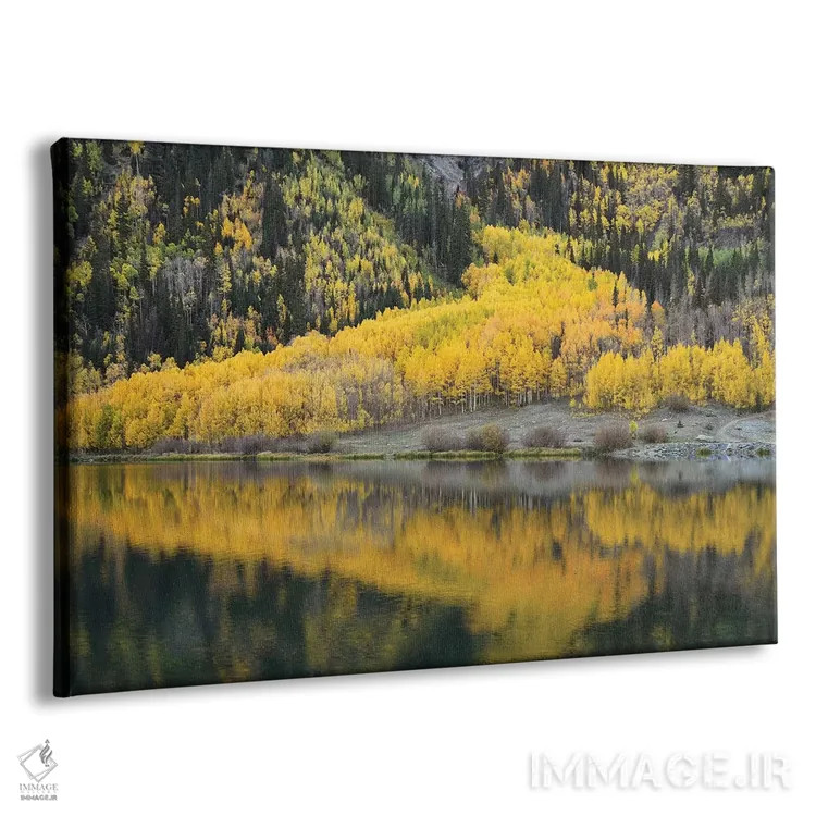 تابلو انعکاس صنوبر در دریاچه کریستال اثر برایان ولف - نمای پرسپکتیو محصول