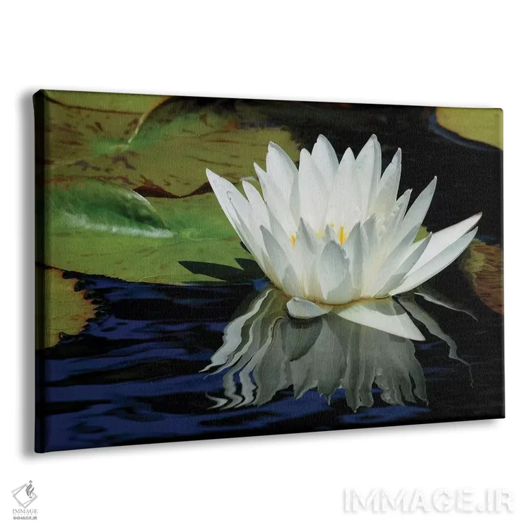 تابلو انعکاس گل سوسن اثر برایان ولف - نمای پرسپکتیو محصول