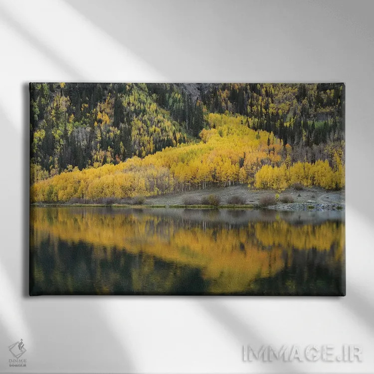 تابلو انعکاس صنوبر در دریاچه کریستال اثر برایان ولف - نمای روبهرو روی دیوار