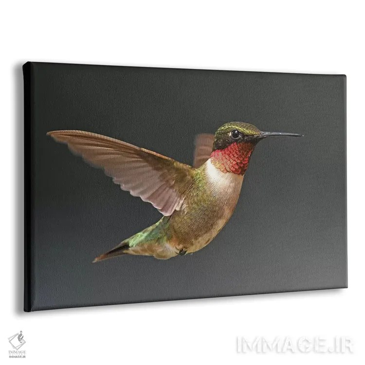 تابلو مرغ مگسخوار در پرواز اثر برایان ولف - نمای پرسپکتیو محصول