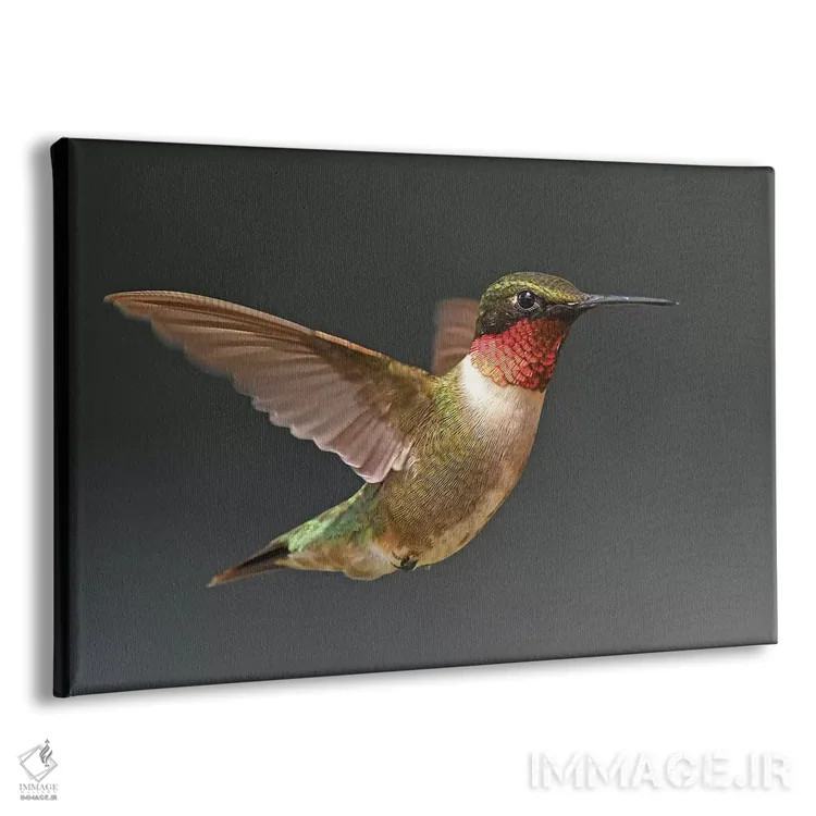 تابلو مرغ مگسخوار در پرواز اثر برایان ولف - نمای پرسپکتیو محصول