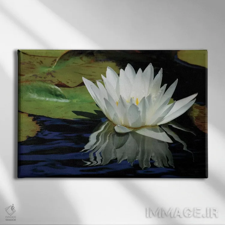تابلو انعکاس گل سوسن اثر برایان ولف - نمای روبهرو روی دیوار