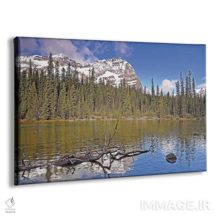 تابلو دریاچه کوچک اوهارا اثر برایان ولف - نمای پرسپکتیو محصول