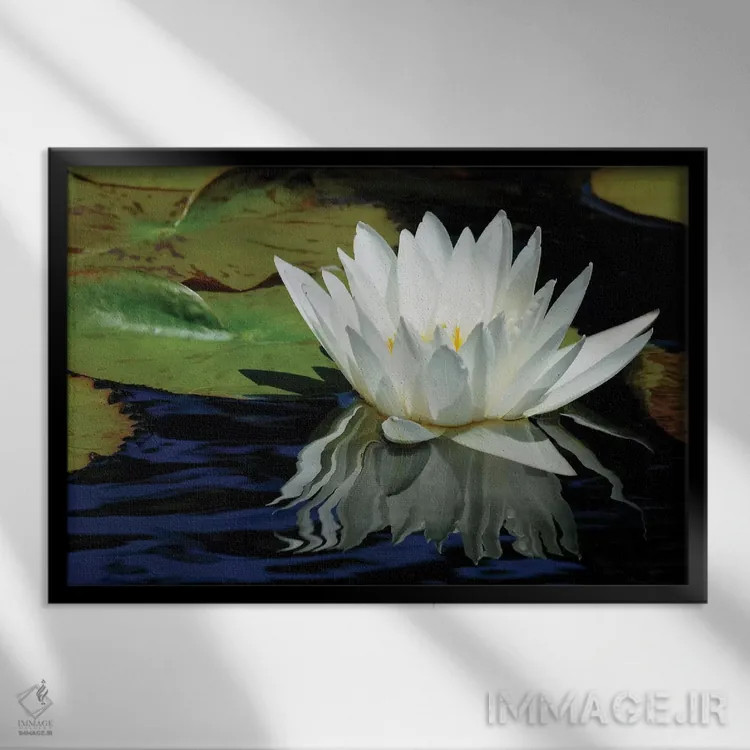 تابلو انعکاس گل سوسن اثر برایان ولف - نمای قابدار مشکی