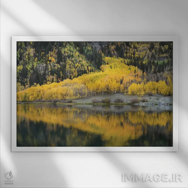 تابلو انعکاس صنوبر در دریاچه کریستال اثر برایان ولف - نمای قابدار سفید