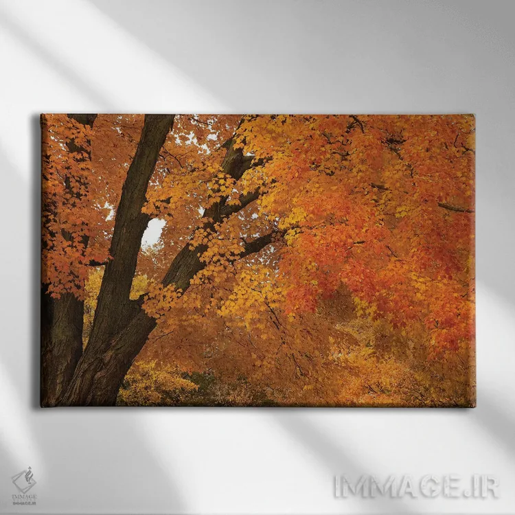 تابلو سقف افرا اثر برایان ولف - نمای روبهرو روی دیوار