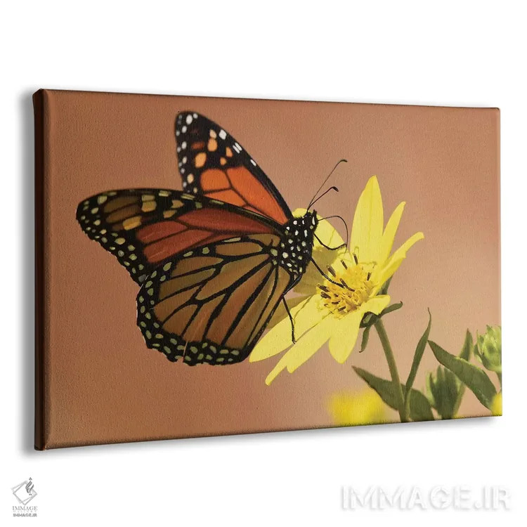 تابلو پروانه شهریار (مهاجر) اثر برایان ولف - نمای پرسپکتیو محصول