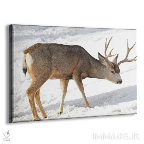 تابلو گوزن قاطر اثر برایان ولف - نمای پرسپکتیو محصول