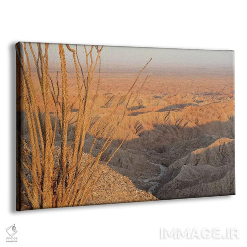 تابلو اوکوتیلو در فونتس پوینت (گیاه بیابانی) اثر برایان ولف - نمای پرسپکتیو محصول