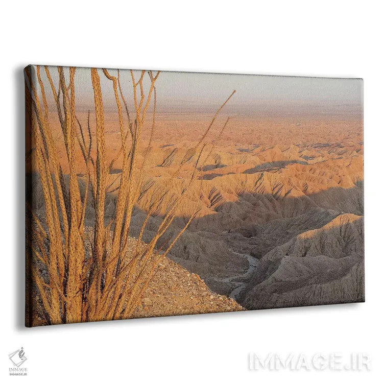 تابلو اوکوتیلو در فونتس پوینت (گیاه بیابانی) اثر برایان ولف - نمای پرسپکتیو محصول