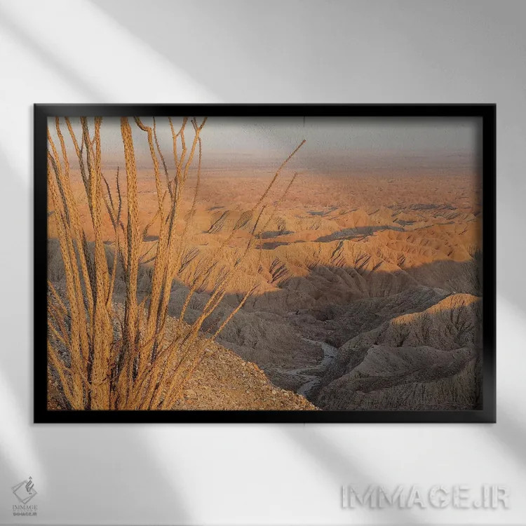 تابلو اوکوتیلو در فونتس پوینت (گیاه بیابانی) اثر برایان ولف - نمای قابدار مشکی