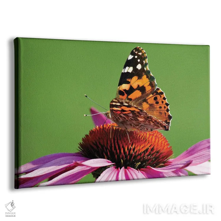 تابلو بانوی نقاشی شده روی گل مخروطی (پروانه) اثر برایان ولف - نمای پرسپکتیو محصول