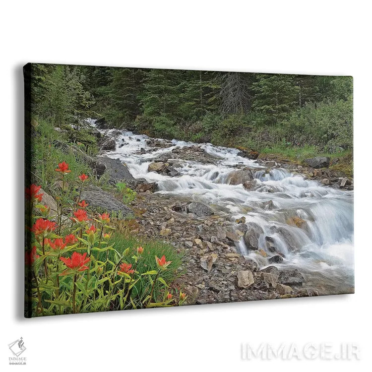 تابلو گیاه پینتبراش و جویبار اثر برایان ولف - نمای پرسپکتیو محصول