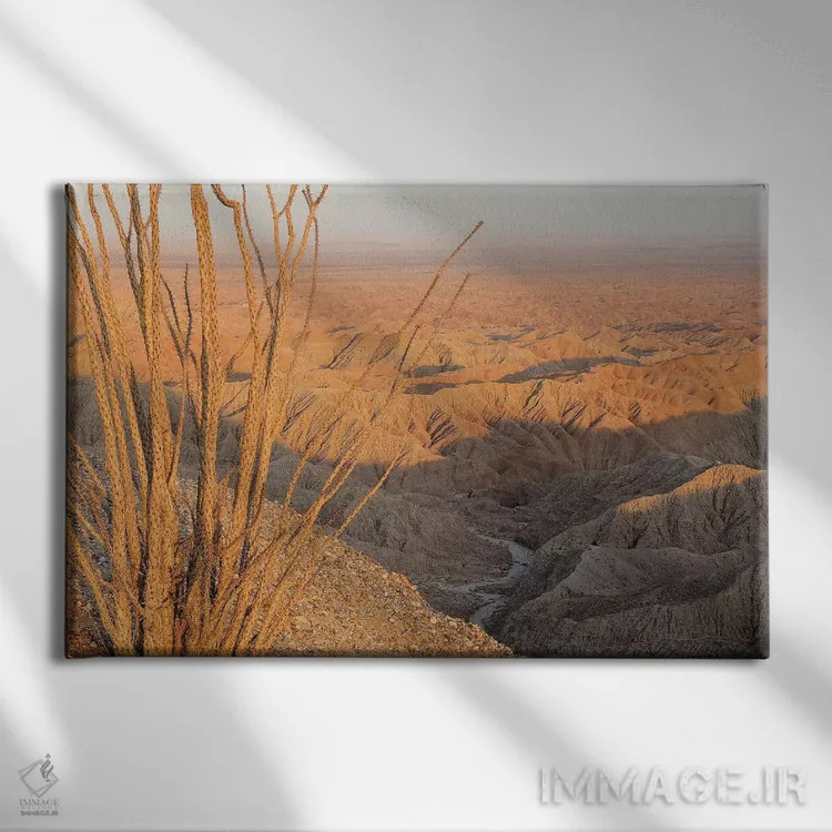 تابلو اوکوتیلو در فونتس پوینت (گیاه بیابانی) اثر برایان ولف - نمای روبهرو روی دیوار