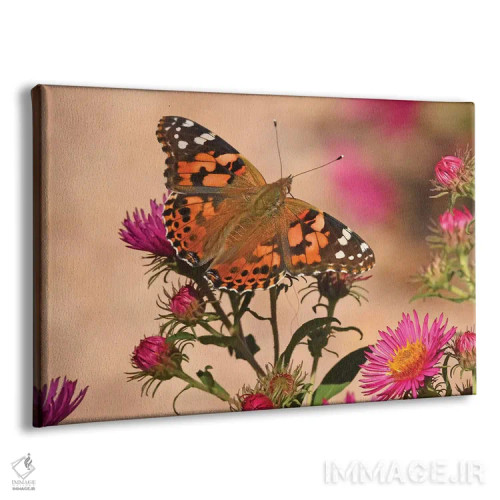 تابلو بانوی نقاشی شده (پروانه) اثر برایان ولف - نمای پرسپکتیو محصول