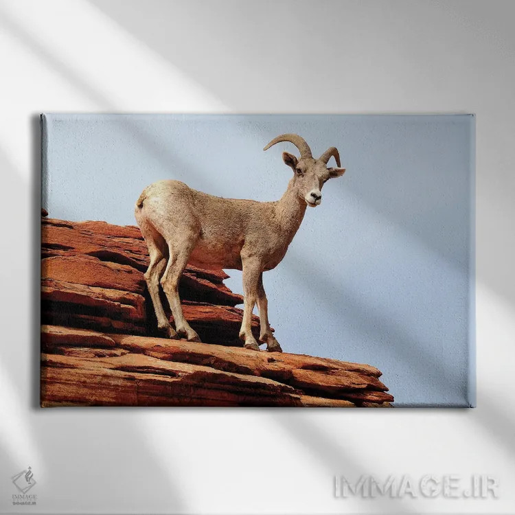 تابلو روی لبه اثر برایان ولف - نمای روبهرو روی دیوار