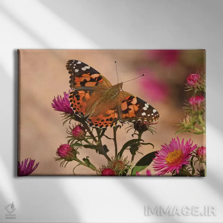 تابلو بانوی نقاشی شده (پروانه) اثر برایان ولف - نمای روبهرو روی دیوار