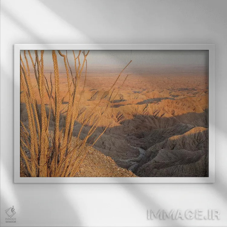 تابلو اوکوتیلو در فونتس پوینت (گیاه بیابانی) اثر برایان ولف - نمای قابدار سفید