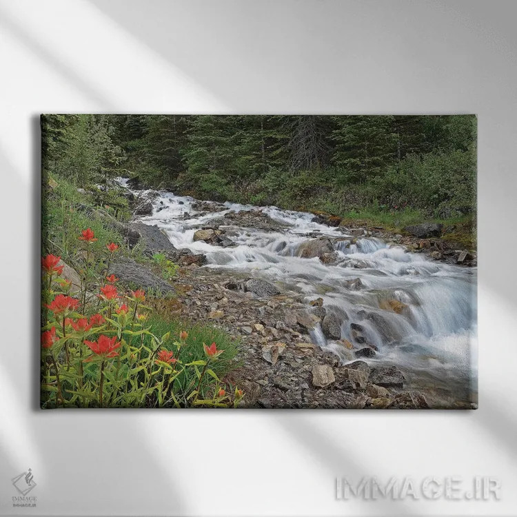 تابلو گیاه پینتبراش و جویبار اثر برایان ولف - نمای روبهرو روی دیوار