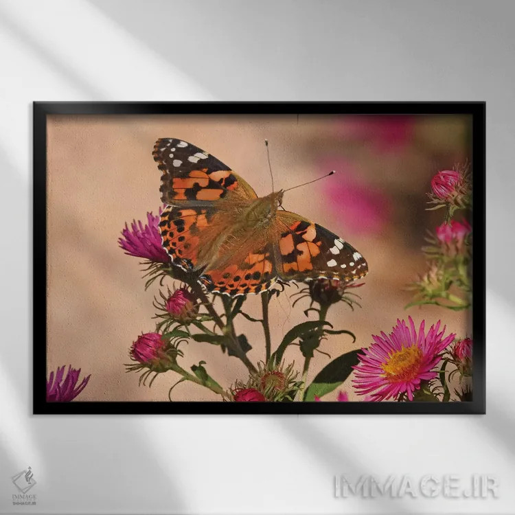 تابلو بانوی نقاشی شده (پروانه) اثر برایان ولف - نمای قابدار مشکی