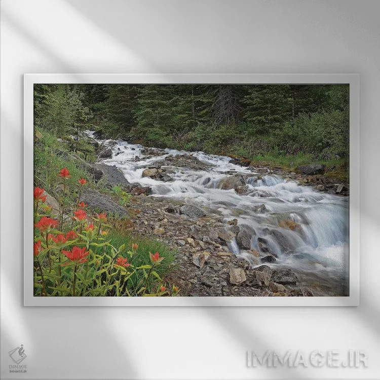 تابلو گیاه پینتبراش و جویبار اثر برایان ولف - نمای قابدار سفید