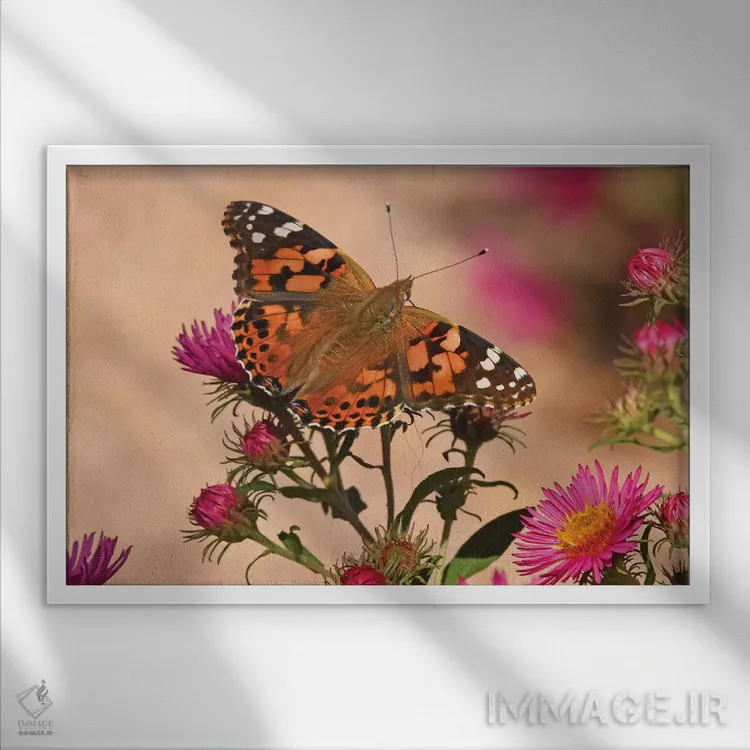 تابلو بانوی نقاشی شده (پروانه) اثر برایان ولف - نمای قابدار سفید