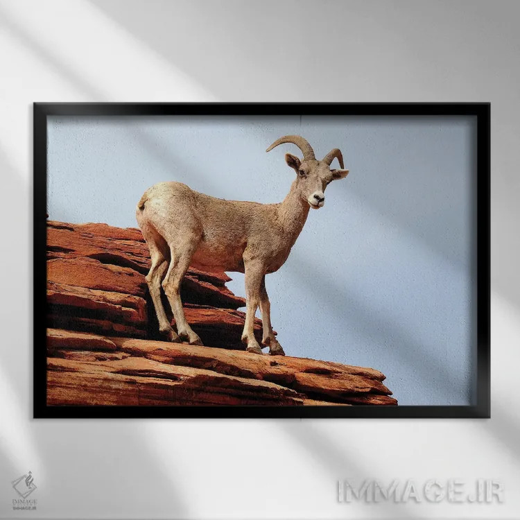 تابلو روی لبه اثر برایان ولف - نمای قابدار مشکی