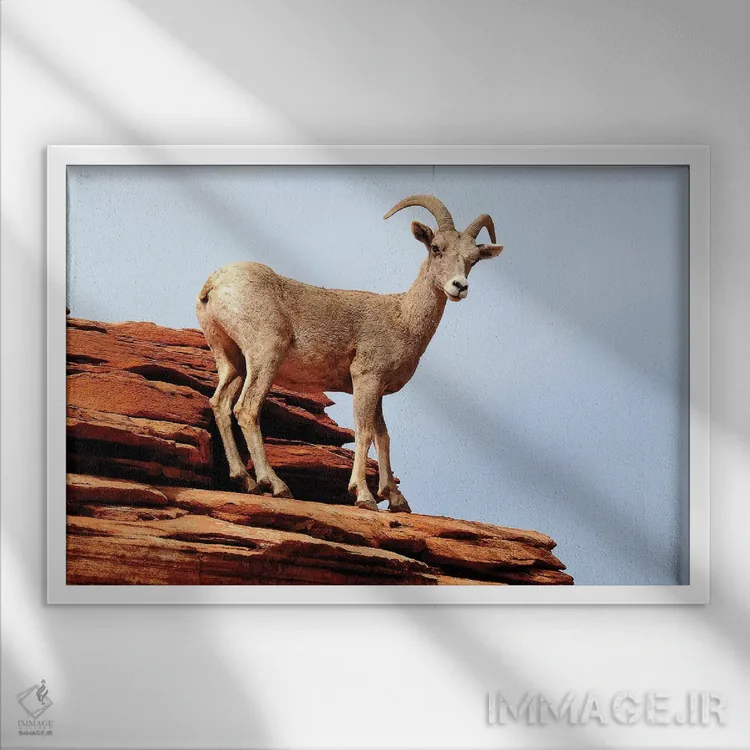 تابلو روی لبه اثر برایان ولف - نمای قابدار سفید