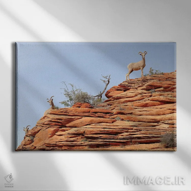 تابلو یواشکی نگاه کردن اثر برایان ولف - نمای روبهرو روی دیوار