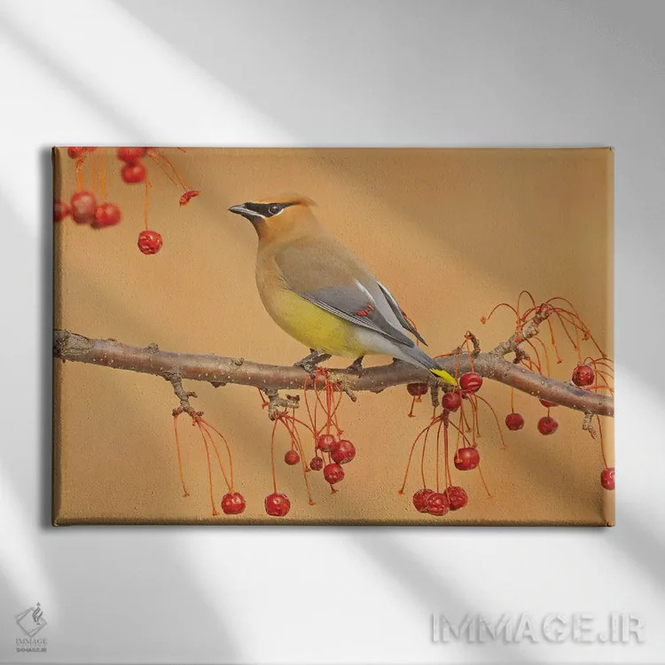 تابلو چیدن توتها اثر برایان ولف - نمای روبهرو روی دیوار