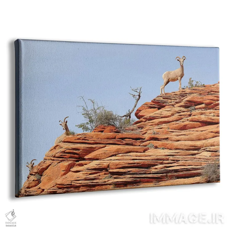 تابلو یواشکی نگاه کردن اثر برایان ولف - نمای پرسپکتیو محصول