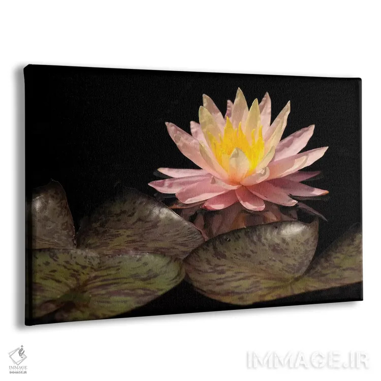 تابلو سوسن صورتی اثر برایان ولف - نمای پرسپکتیو محصول