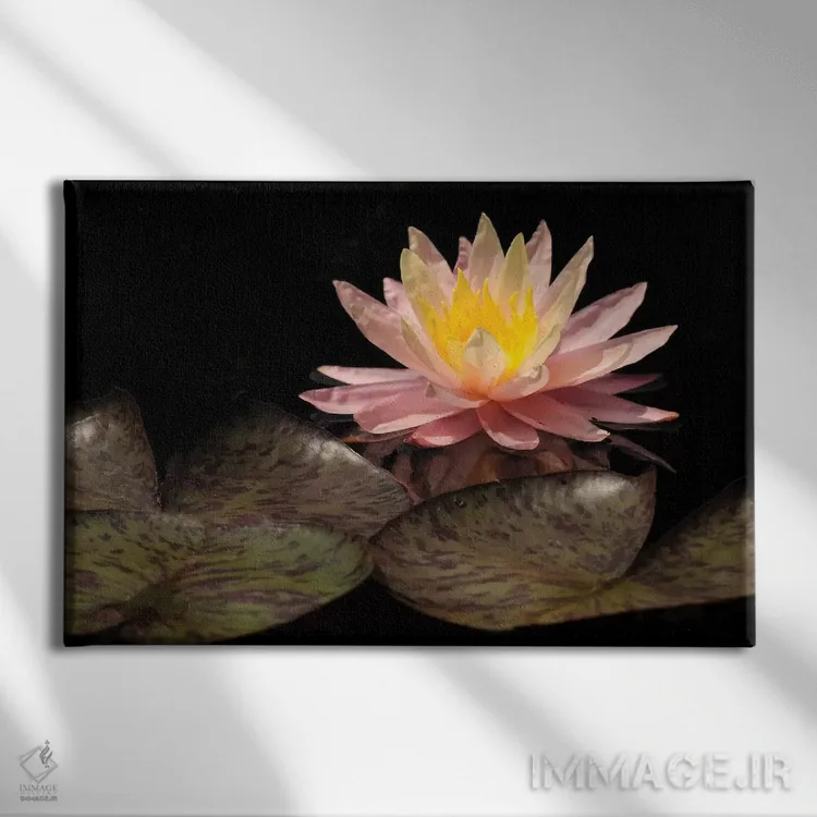 تابلو سوسن صورتی اثر برایان ولف - نمای روبهرو روی دیوار