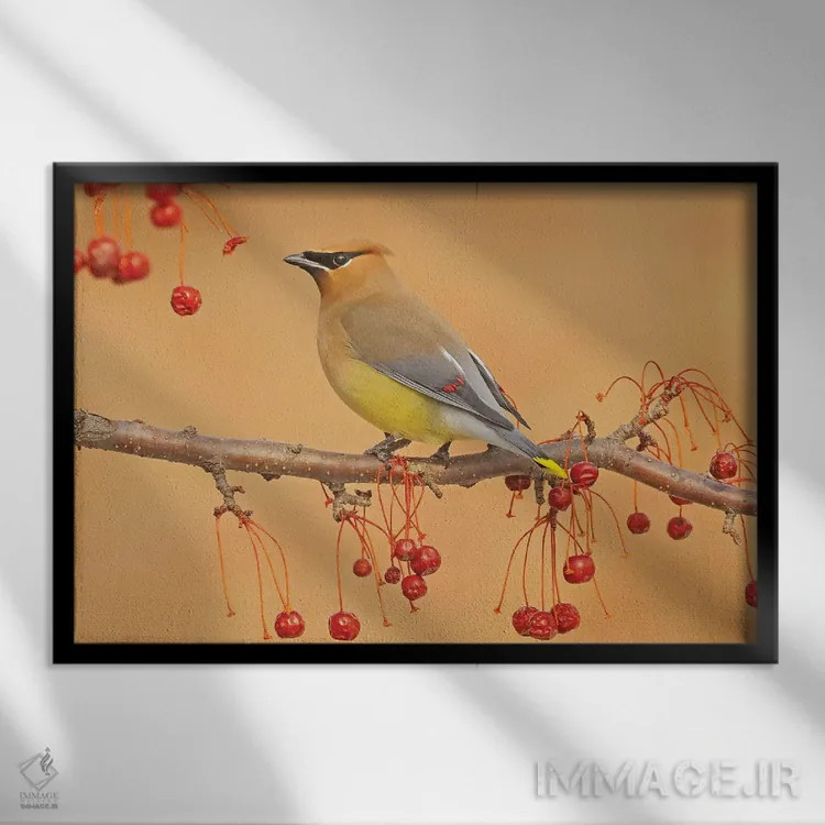 تابلو چیدن توتها اثر برایان ولف - نمای قابدار مشکی