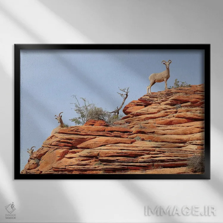 تابلو یواشکی نگاه کردن اثر برایان ولف - نمای قابدار مشکی