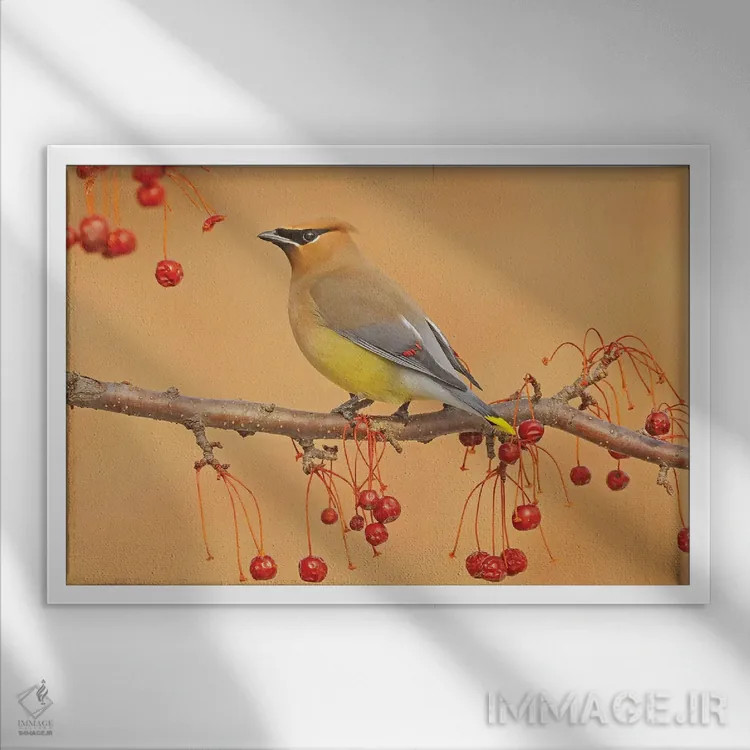 تابلو چیدن توتها اثر برایان ولف - نمای قابدار سفید