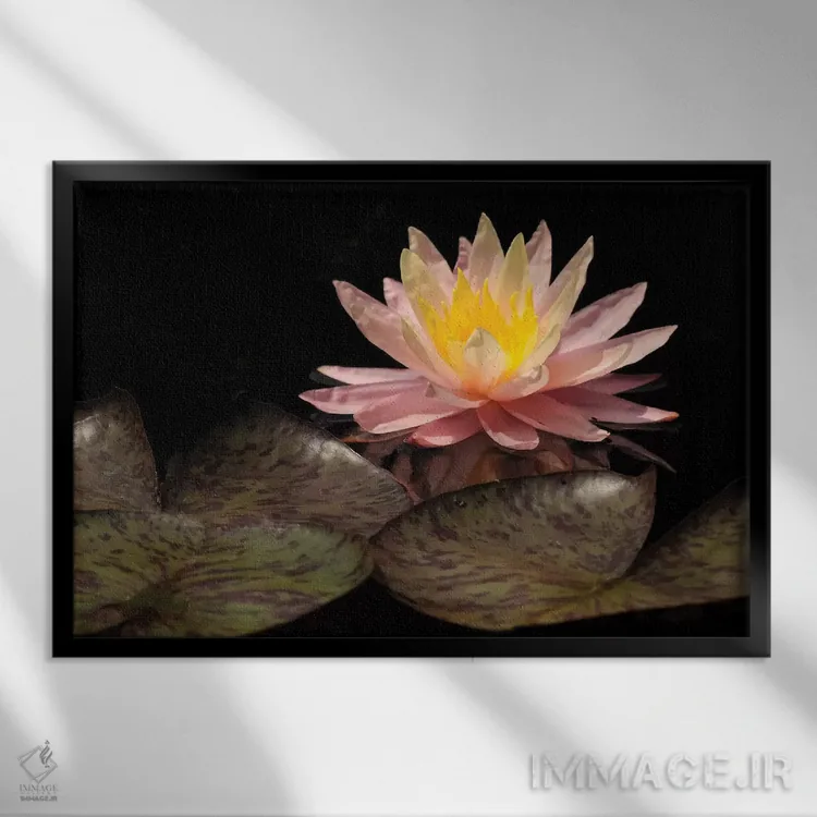 تابلو سوسن صورتی اثر برایان ولف - نمای قابدار مشکی