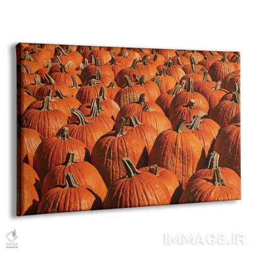 تابلو Pumpkins, Pumpkins,کدو تنبل، کدو تنبل، کدو تنبل اثر برایان ولف - نمای پرسپکتیو محصول