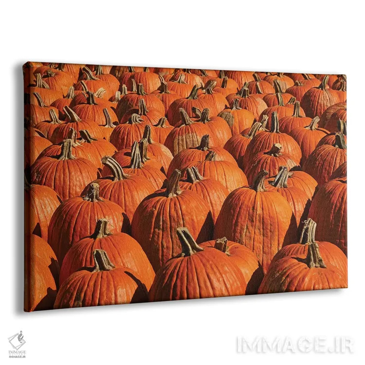 تابلو Pumpkins, Pumpkins,کدو تنبل، کدو تنبل، کدو تنبل اثر برایان ولف - نمای پرسپکتیو محصول