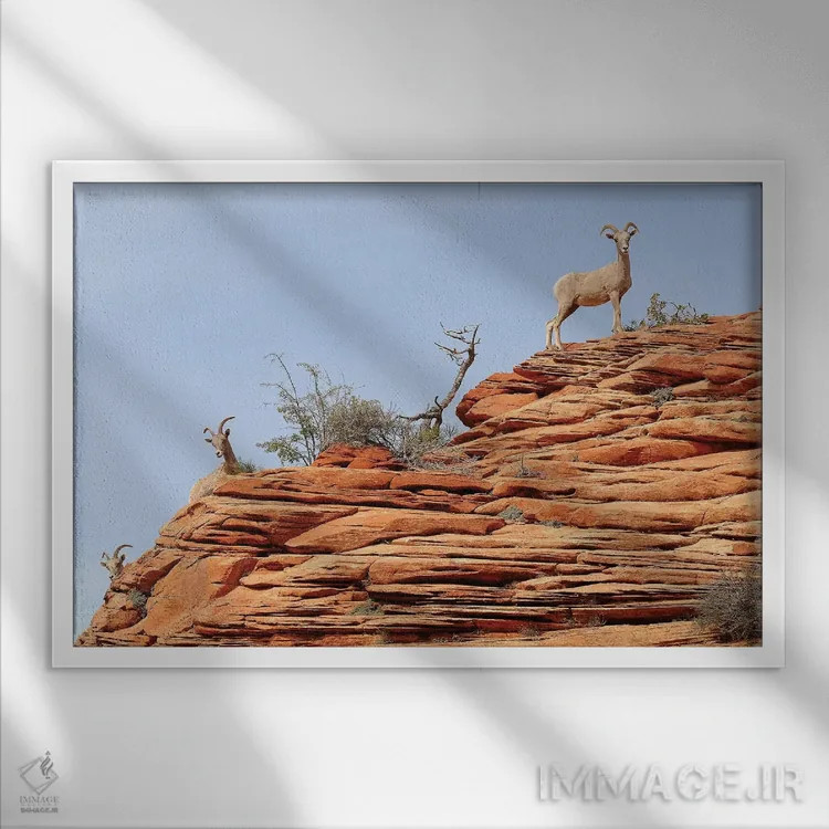 تابلو یواشکی نگاه کردن اثر برایان ولف - نمای قابدار سفید