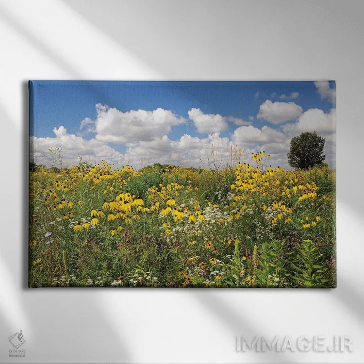 تابلو گلهای دشتی اثر برایان ولف - نمای روبهرو روی دیوار