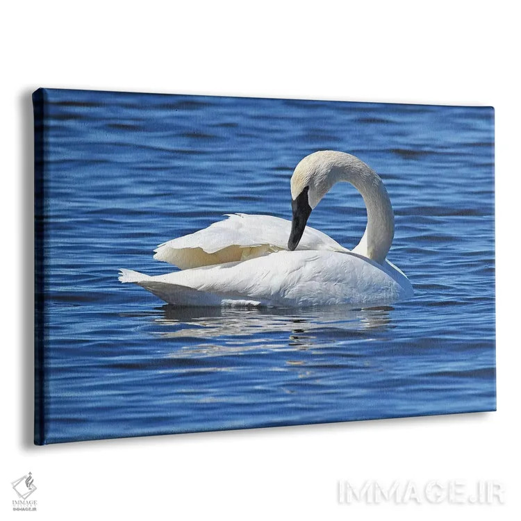 تابلو دوباره چیدن اثر برایان ولف - نمای پرسپکتیو محصول