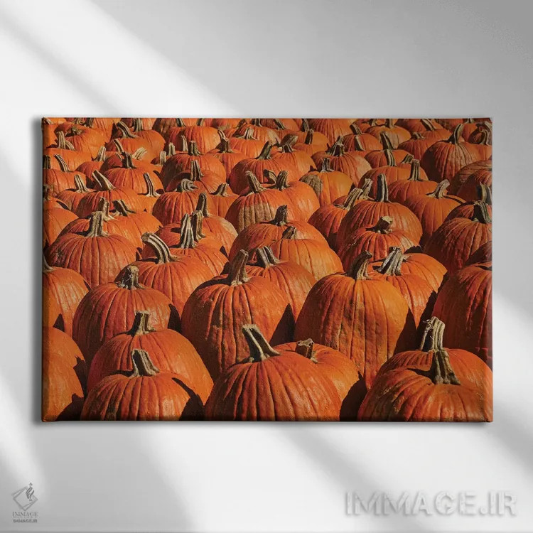 تابلو Pumpkins, Pumpkins,کدو تنبل، کدو تنبل، کدو تنبل اثر برایان ولف - نمای روبهرو روی دیوار