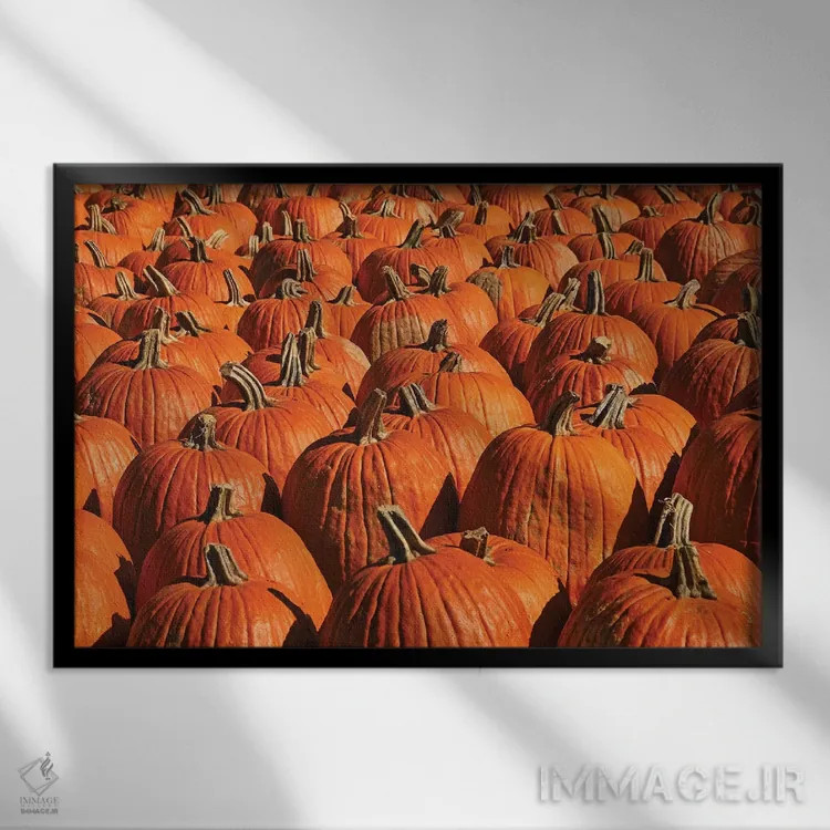 تابلو Pumpkins, Pumpkins,کدو تنبل، کدو تنبل، کدو تنبل اثر برایان ولف - نمای قابدار مشکی