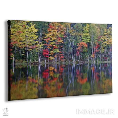 تابلو انعکاسها بر روی دریاچه کانسیل اثر برایان ولف - نمای پرسپکتیو محصول