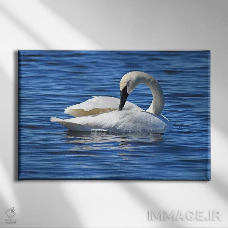 تابلو دوباره چیدن اثر برایان ولف - نمای روبهرو روی دیوار