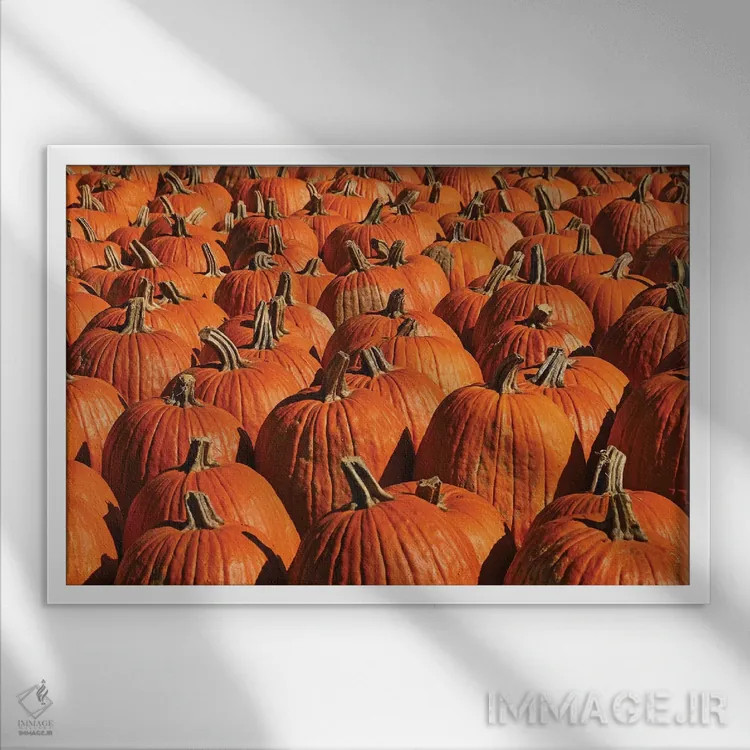 تابلو Pumpkins, Pumpkins,کدو تنبل، کدو تنبل، کدو تنبل اثر برایان ولف - نمای قابدار سفید