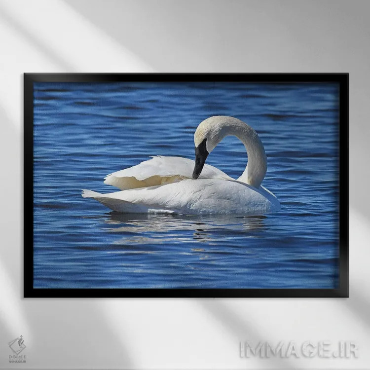 تابلو دوباره چیدن اثر برایان ولف - نمای قابدار مشکی